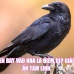Quạ Đen Bay Vào Nhà Là Điềm Gì? Giải Mã Bí Ẩn Tâm Linh