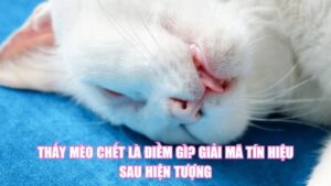 Thấy Mèo Chết Là Điềm Gì? Giải Mã Tín Hiệu Sau Hiện Tượng