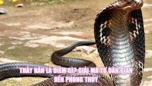 Thấy Rắn Là Điềm Gì? Giải Mã Từ Dân Gian Đến Phong Thủy
