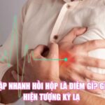 Tim Đập Nhanh Hồi Hộp Là Điềm Gì? Giải Mã Hiện Tượng Kỳ Lạ