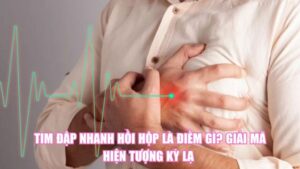 Tim Đập Nhanh Hồi Hộp Là Điềm Gì? Giải Mã Hiện Tượng Kỳ Lạ