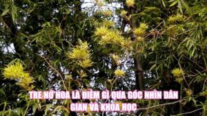 Tre Nở Hoa Là Điềm Gì Qua Góc Nhìn Dân Gian Và Khoa Học