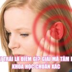 Ù Tai Trái Là Điềm Gì? Giải Mã Tâm Linh, Khoa Học Chuẩn Xác