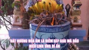Bị Nhện Cắn Là Điềm Gì? Giải Mã Tín Hiệu Bí Ẩn Từ Tự Nhiên