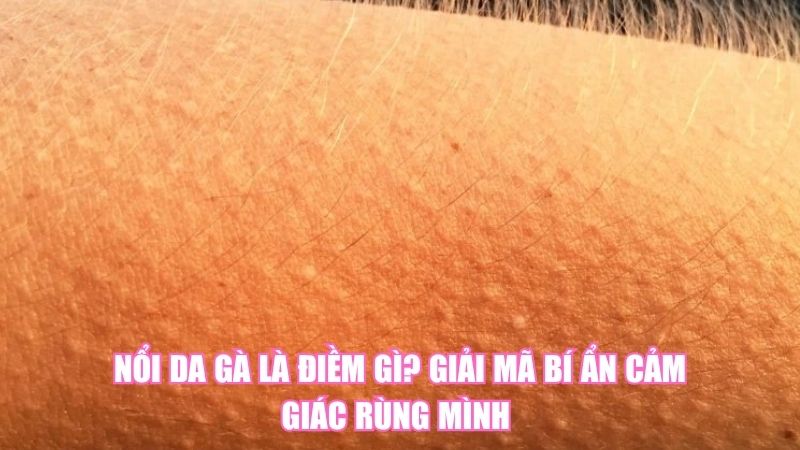 Nổi Da Gà Là Điềm Gì? Giải Mã Bí Ẩn Cảm Giác Rùng Mình