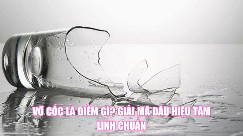 Vỡ Cốc Là Điềm Gì? Giải Mã Dấu Hiệu Tâm Linh Chuẩn
