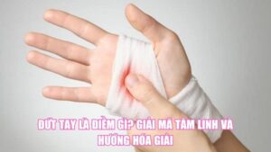Thiêu Thân Bay Vào Nhà Là Điềm Gì? Giải Mã Phong Thủy Chuẩn Xác