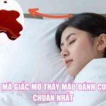 Giải Mã Giấc Mơ Thấy Máu Đánh Con Gì Chuẩn Nhất