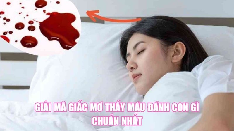 Giải Mã Giấc Mơ Thấy Máu Đánh Con Gì Chuẩn Nhất