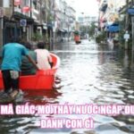Giải Mã Giấc Mơ Thấy Nước Ngập Đường Đánh Con Gì