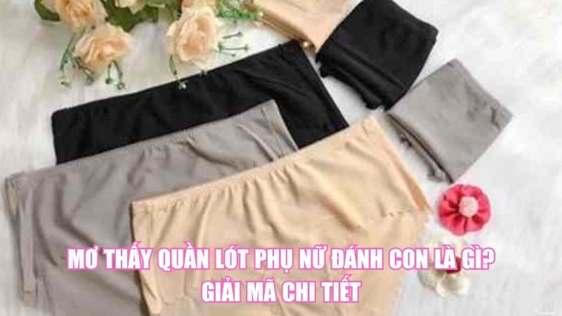 Mơ Thấy Quần Lót Phụ Nữ Đánh Con Là Gì? Giải Mã Chi Tiết