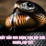 Mơ Thấy Rắn Đen Đánh Con Gì? Giải Mã Ý Nghĩa Chi Tiết