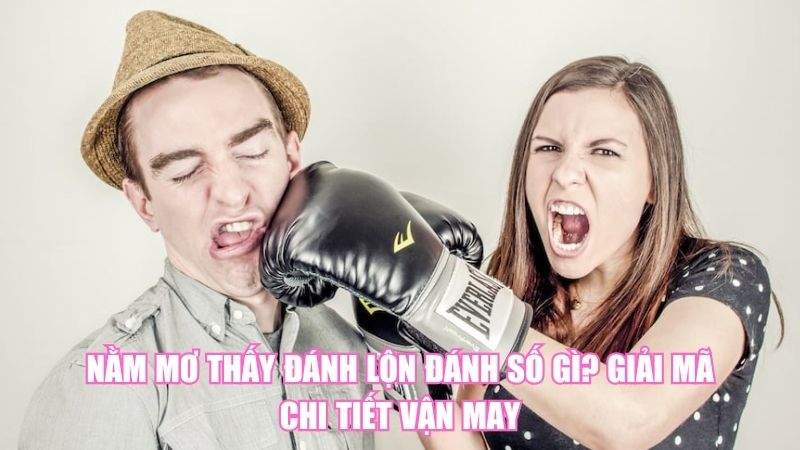 Nằm Mơ Thấy Đánh Lộn Đánh Số Gì? Giải Mã Chi Tiết Vận May