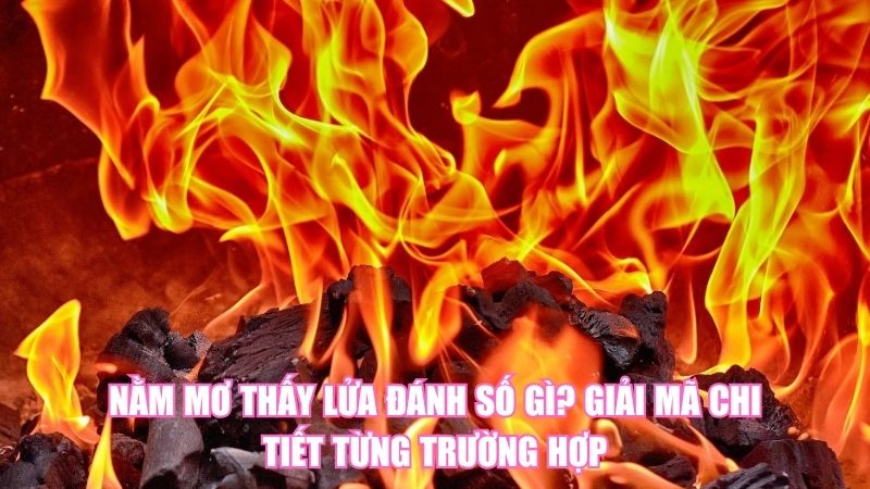 Nằm Mơ Thấy Lửa Đánh Số Gì? Giải Mã Chi Tiết Từng Trường Hợp