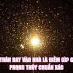 Thiêu Thân Bay Vào Nhà Là Điềm Gì? Giải Mã Phong Thủy Chuẩn Xác