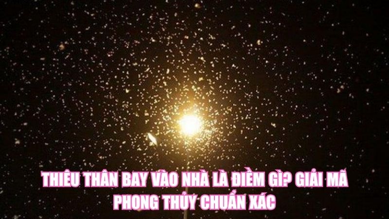 Thiêu Thân Bay Vào Nhà Là Điềm Gì? Giải Mã Phong Thủy Chuẩn Xác